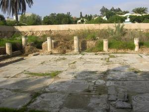 Mosaique Romaine dans la périphérie de Batna