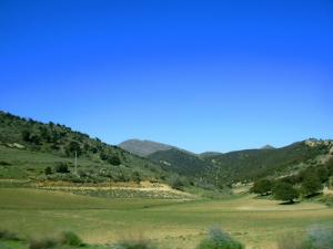 Verdure dans la commune de Ichmoul à Batna
