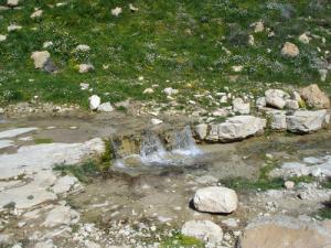 Un petit cours d'eau dans les environs de Batna