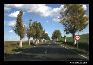 الطريق المؤدي إلى حمام بوحجر