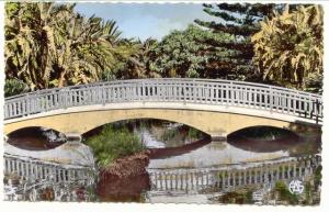 جسر  فيشي  القديم ببلدية حمام بوحجر