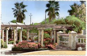 مدخل الحديقة العمومية لبلدية حمام بوحجر