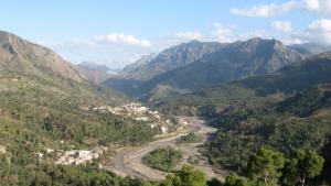 La vaste forêt de Darguina