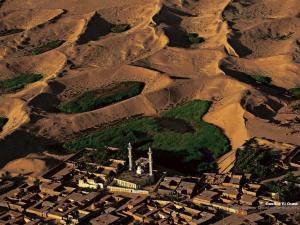 منظر شامل لواحة الواد