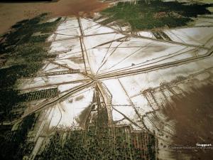 واحات توڨرت