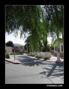 سيد معمر بن عالية