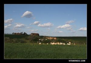 مقبرة قرية الهجايرية