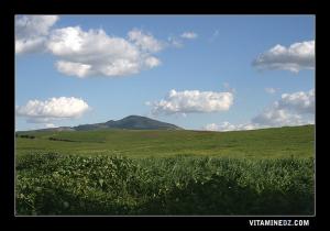 جبال تسالة من بلدية سيدي بومدين