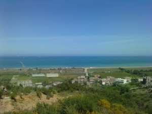 الشيخ برصالي