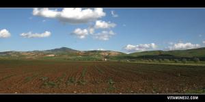 مزرعة من بلدية سيدي بو مدين