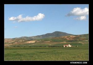 مزرعة من بلدية سيدي بو مدين