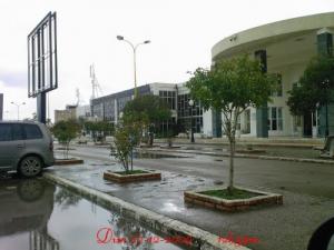 Vue Entière De L'aéroport