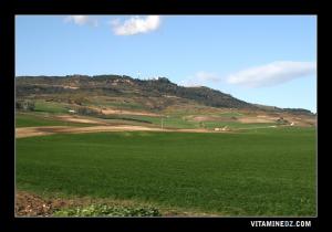 قمة تسالة (1063 م)