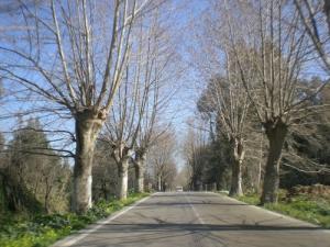 Béjaia route d'El Kseur