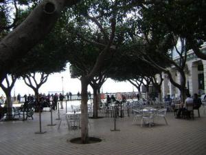 Place du 1er Novembre 54 sur la côte de Béjaia