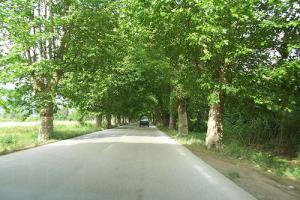 Sur la route d'Elkseur