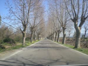 Bejaia sur la Route d'El Kseur