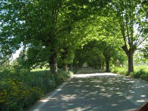 Sur la route d'El Kseur