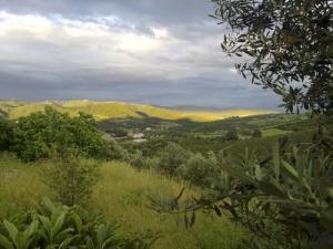 L'arbaa Vue dibelhadjenne (Wilaya de Béjaia)