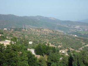 Paysage de la commune d'Imiloul à Béjaia
