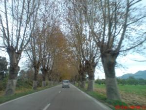 En Route pour Béjaia