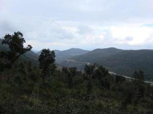 Sur la route de Béjaia