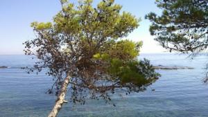 Vue sur la côte de Béjaia