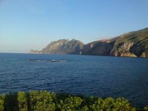 Béjaia Plage Unique