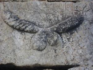 Aqueduc romain de Toudja  (le signe de la Légion)