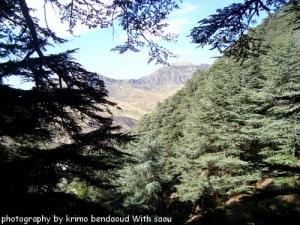 Djebel Babor(Jungles Et Montagnes)