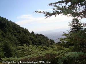Djebel Babor (Forêts Et Montagnes)
