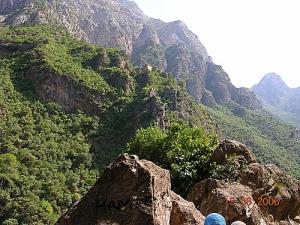 Verdure sur la périphérie de Béjaia