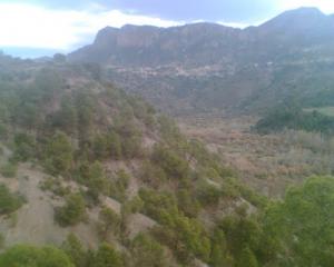 Verdure de la commune de Freha