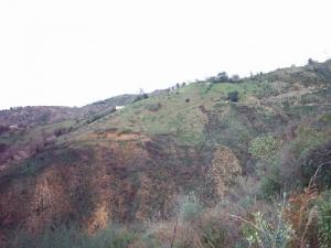 La vue vers Ferdjoune par cet endroit