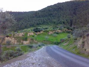 Verdure dans la périphérie de Béjaia