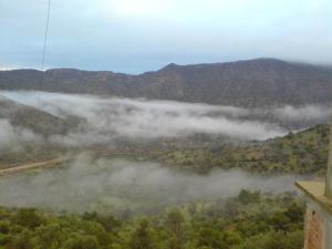 Brume sur la verte forêt  de Béjaia