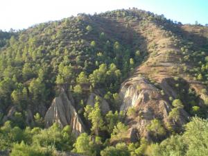 Paysage Naturel dans la périphérie de Béjaia