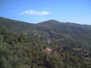 La gigantesque forêt de Tizi Tifra