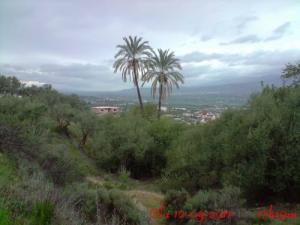 Verdure entourant la ville de Béjaia