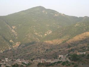 La Forêt Montagneuse d'Adrar Oumaza