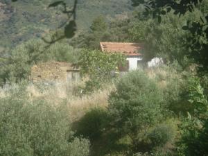 Petit village au coeur de la forêt