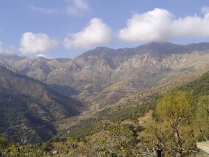Les montagnes gargantuesques de Béjaia