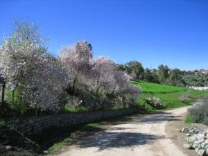 Le Printemps à Ouizrane