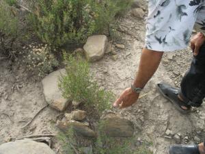 Le vieux Mouka-Cimetiere