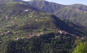 La vaste forêt de Béjaia