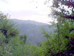 Forêt d'Ait Youcef à Béjaia