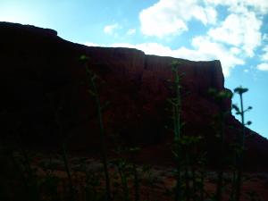 منظر من ضواحي بلدية  بريزينة