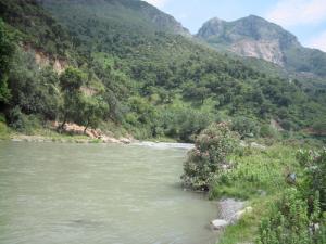 La rivière traversant la forêt de Kherrata
