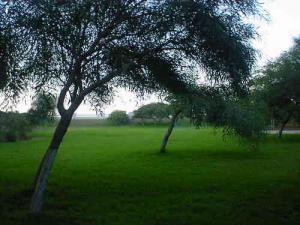 Tichi les jardins de l'hôtel  les Hammadites