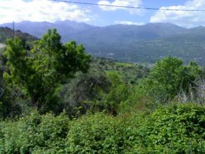 Une environnante de la ville de Béjaia